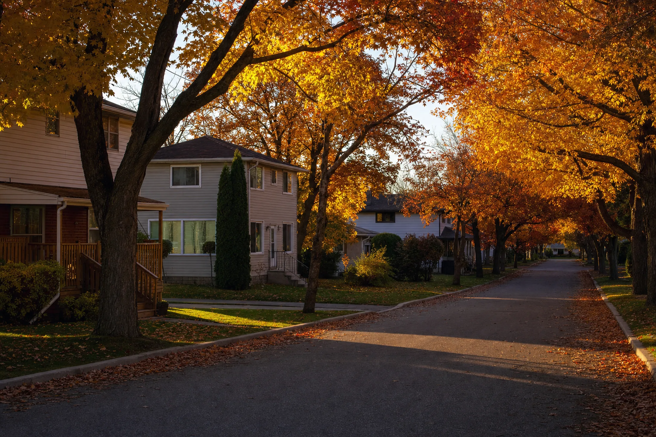 A quiet residential street in a small Northern Ontario city under mature maples at the peak of autumn colour.